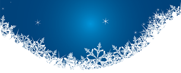 Rachel & Drew's Snowflakes Motif Ice crystals on dark blue sky background with stars.